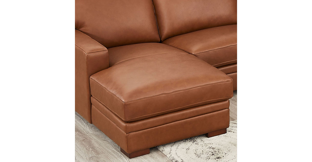 Dillon Leather Sectional Collection